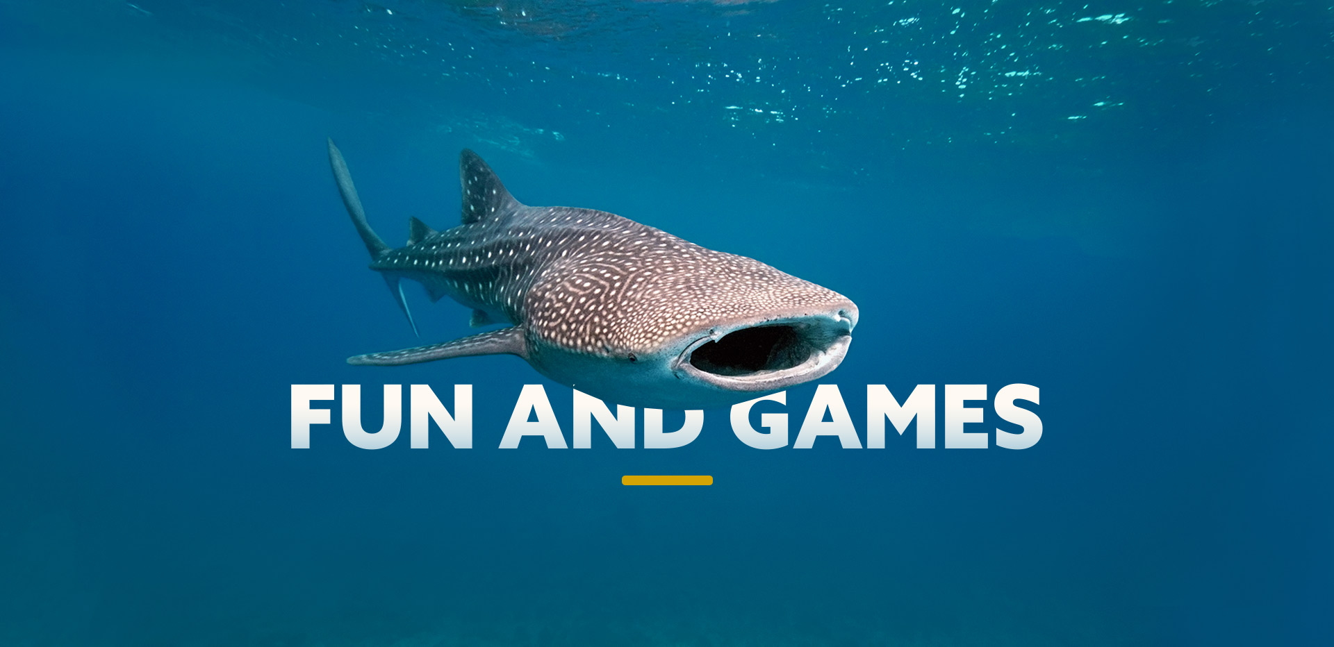 Fun And Games - Sharks Under Attack Campaign